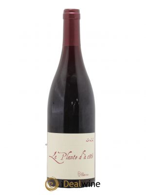 Vin de France La Plante d'à coté Binaume Bizot-Naudin 2022 - Lot de 1 Bottle