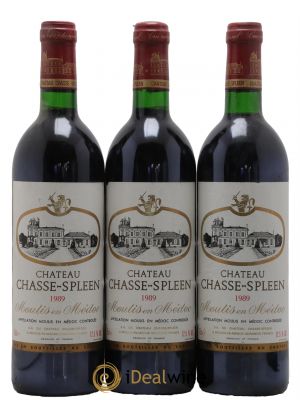Château Chasse Spleen 1989 - Lot de 3 Bottles