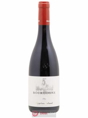 Bourgogne Oka A & Arlaud  2019 - Lot de 1 Bouteille