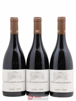 Nuits Saint-Georges Cyprien Arlaud 2019 - Lot de 3 Bouteilles