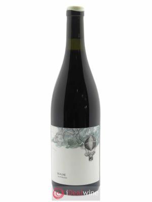 Beaune Les Prévoles Les Horées   2020 - Lot de 1 Bouteille