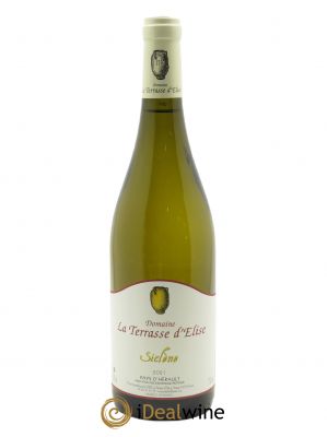 IGP Pays d'Hérault Siclène Terrasse d'Elise (Domaine de la)  2021 - Lot of 1 Bottle