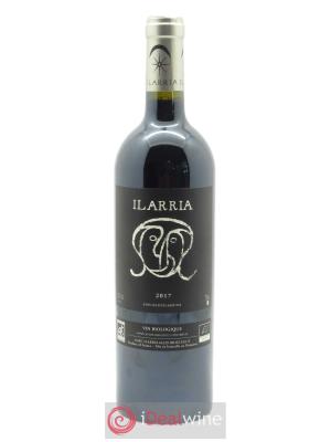 Irouléguy  Sans soufre Ilarria (Domaine)  2017 - Lot de 1 Bouteille