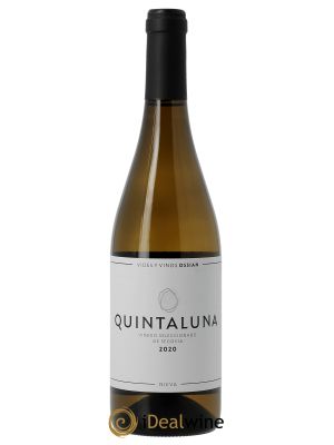 Rueda Bodega Ossian Quintaluna 2020 - Lot de 1 Bottle