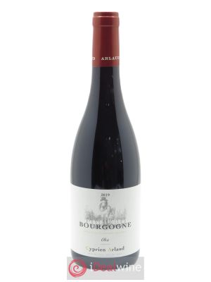 Bourgogne Oka Arlaud  2019 - Lot of 1 Bottle