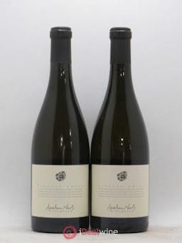 Portugal Vinho Verde Anselmo Mendes - Parcela Unica 2013 - Lot of 2 Bottles