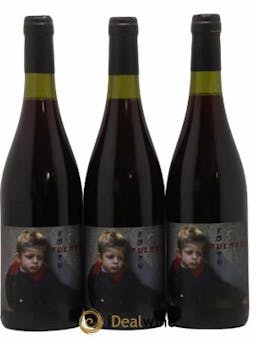 Vin de France Youthfulness Verre de Terre Benoit Rosenberger  2019 - Lot of 3 Bottles