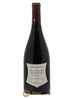 Riceys Rouge Olivier Horiot 2014 - Lot de 1 Bottle