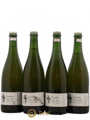Cidre Dandelion (no reserve) 2021 - Lot of 4 Bottles