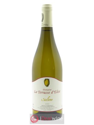 IGP Pays d'Hérault Siclène Terrasse d'Elise (Domaine de la)  2020 - Lot of 1 Bottle