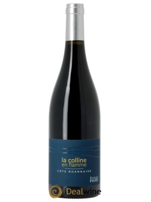 Côte Roannaise La Colline en Flamme Domaine des Pothiers  2022 - Lot of 1 Bottle