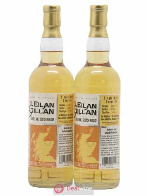 Whisky Eilan Gillan Single Malt 2007 - Lot de 2 Bouteilles