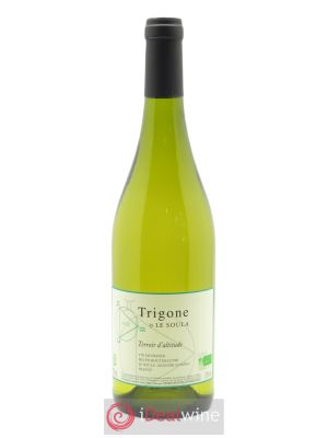 Vin de France -  Le Soula  Trigone
