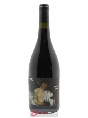 IGP Côtes Catalanes Clos du Rouge Gorge Une vie la nuit Cyril Fhal  2020 - Lot de 1 Bouteille