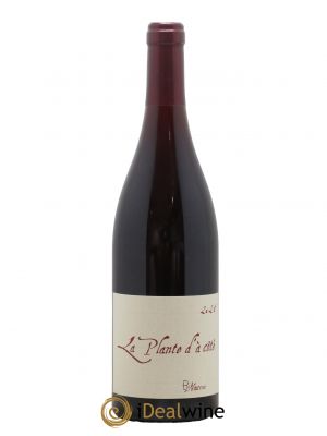 Vin de France La Plante d'à côté Naudin-Ferrand (Domaine)  2021 - Lotto di 1 Bottiglia