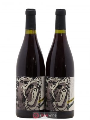 Vin de France Nyctalopie Daniel Sage  2019 - Lot de 2 Bouteilles