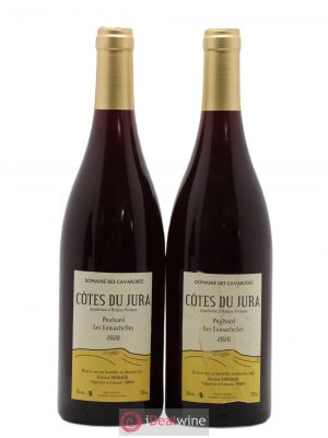 Côtes du Jura Poulsard Les Lumachelles Cavarodes (Domaine des) - Etienne Thiébaud  2020 - Lot of 2 Bottles