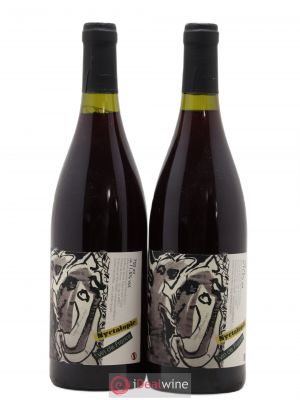Vin de France Nyctalopie Daniel Sage  2019 - Lot de 2 Bouteilles