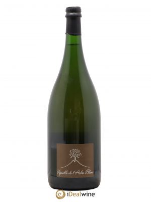 Vin de France Ma Carotte Vignoble de l'Arbre Blanc  2018 - Lot de 1 Magnum
