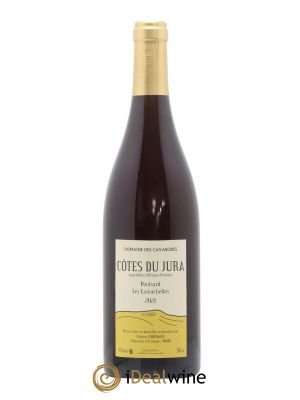 Côtes du Jura Poulsard Les Lumachelles Cavarodes (Domaine des) - Etienne Thiébaud  2021 - Lot of 1 Bottle