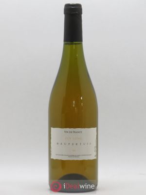 Vin de France Puy Long Jean Maupertuis  2019 - Lot of 1 Bottle