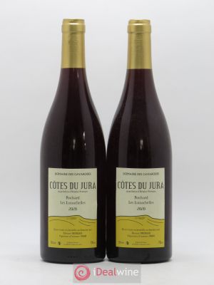 Côtes du Jura Poulsard Les Lumachelles Cavarodes (Domaine des) - Etienne Thiébaud  2020 - Lot of 2 Bottles