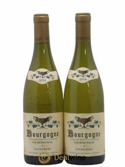 Bourgogne Coche Dury (Domaine)  2019 - Lot de 2 Bouteilles
