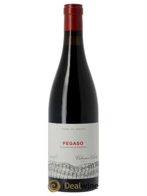 Sierra De Gredos Barrancos de Pizarra Telmo Rodriguez - Pegaso 2020 - Lot de 1 Bottle