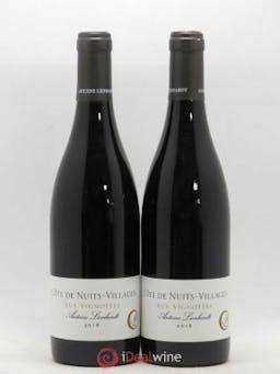 Côte de Nuits-Villages Aux Vignottes Antoine Lienhardt 2016 - Lot of 2 Bottles