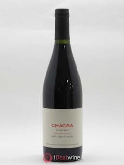 Vins Etrangers Patagonie Bodega Chacra Pinot noir 55 2017 - Lot of 1 Bottle
