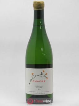 Vins Etrangers Patagonia Chardonnay Bodega Chacra 357 (no reserve) 2019 - Lot of 1 Bottle