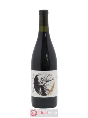 Vin de France Terre a Terre Laura Aillaud 2019 - Lot of 1 Bottle