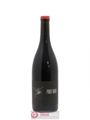 Hautes-Côtes de Nuits Pinot Noar Arnaud Lopez 2019 - Lot of 1 Bottle