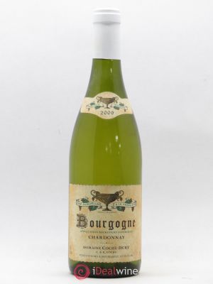 Bourgogne Coche Dury (Domaine)  2009 - Lot of 1 Bottle