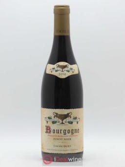 Bourgogne Coche Dury (Domaine)  2016 - Lot of 1 Bottle