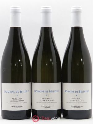 Muscadet-Sèvre-et-Maine Gabbro Jérôme Bretaudeau (no reserve) 2018 - Lot of 3 Bottles