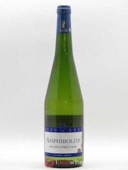 Muscadet-Sèvre-et-Maine Amphibolite Nature Jo Landron (no reserve) 2018 - Lot of 1 Bottle