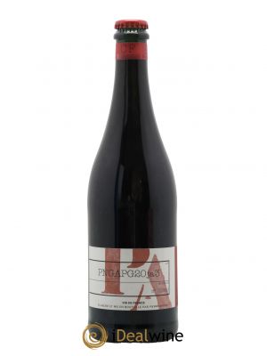 Vin de France Cantio Familiae Pinot Noir Gamay Pinot Gris Domaine Pierre Andrey 2020 - Lot de 1 Bottle