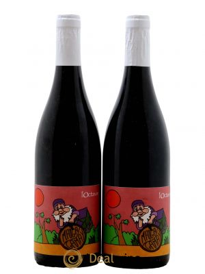 Vin de France Mayga Gamay Domaine de l'Octavin 2017 - Lot of 2 Bottles