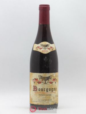 Bourgogne Coche Dury (Domaine)  2004 - Lot de 1 Bouteille