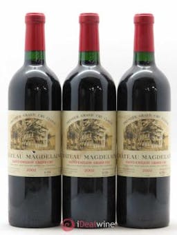 Château Magdelaine  2002 - Lot of 3 Bottles