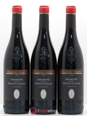 Amarone della Valpolicella DOC Classico Domini Veneti (sans prix de réserve) 2012 - Lot de 3 Bouteilles