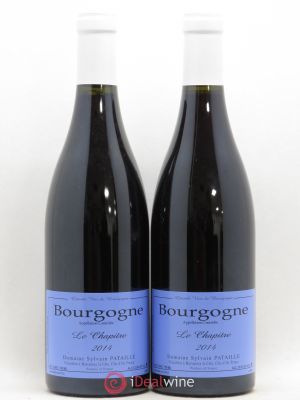 Bourgogne Le Chapitre Sylvain Pataille (Domaine) (no reserve) 2014 - Lot of 2 Bottles