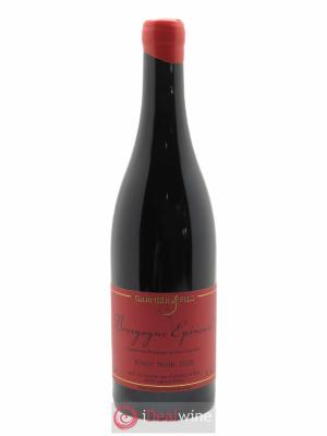 Bourgogne Epineuil  Garnier & Fils  2020 - Lot de 1 Bouteille