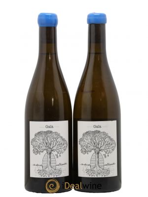 Muscadet-Sèvre-et-Maine Gaia Jérôme Bretaudeau - Domaine de Bellevue 2018 - Lot de 2 Bottles