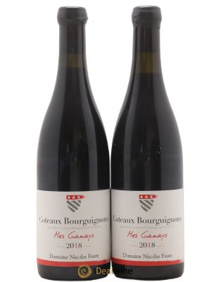 Coteaux Bourguignons Mes Gamays Nicolas Faure  2018 - Lot of 2 Bottles