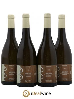 Bourgogne Domaine Petit Roy 2019 - Lot of 4 Bottles