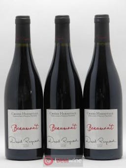 Crozes-Hermitage Beaumont Domaine Les Bruyères David Reynaud (no reserve) 2019 - Lot of 3 Bottles