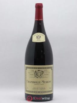Chambolle-Musigny Louis Jadot 2010 - Lot of 1 Magnum