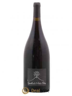 Vin de France Les Grandes Orgues Vignoble de l'Arbre Blanc (no reserve) 2016 - Lot of 1 Magnum